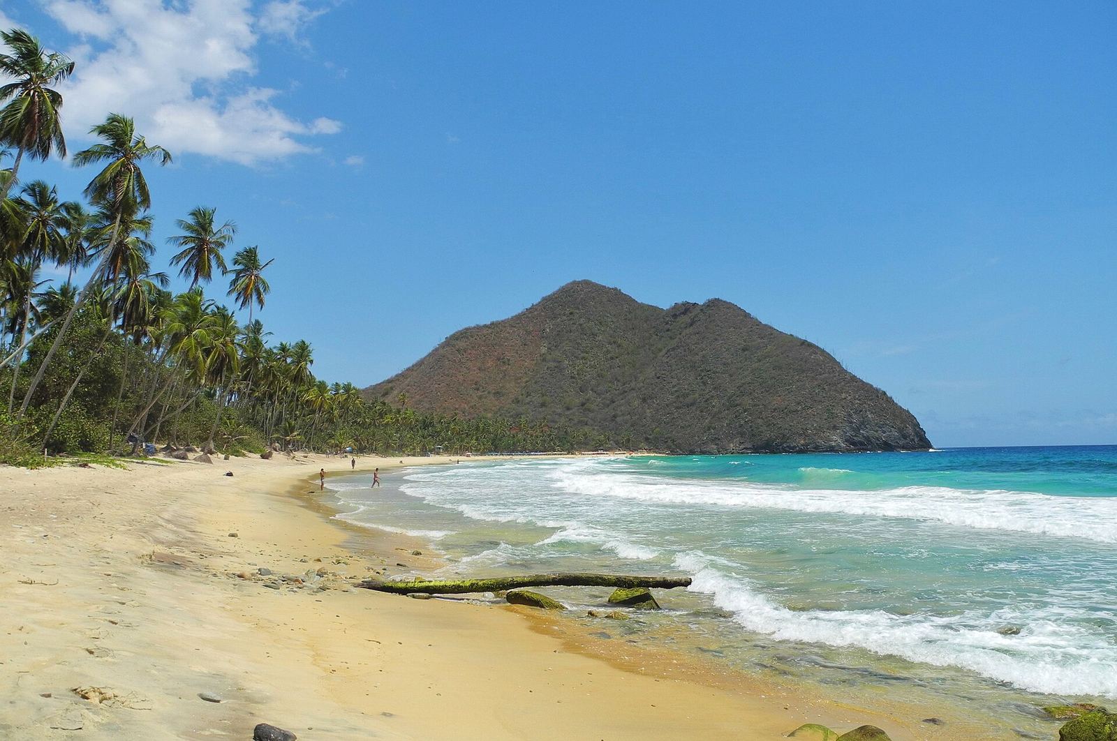 Playa Grande en Choroní, estado Aragua, Venezuela